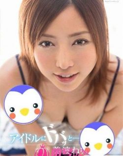 AV波多野结衣在线网站